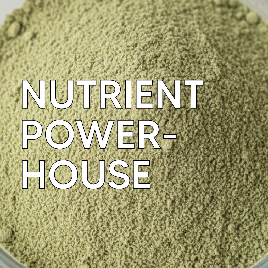 Moringa Powder