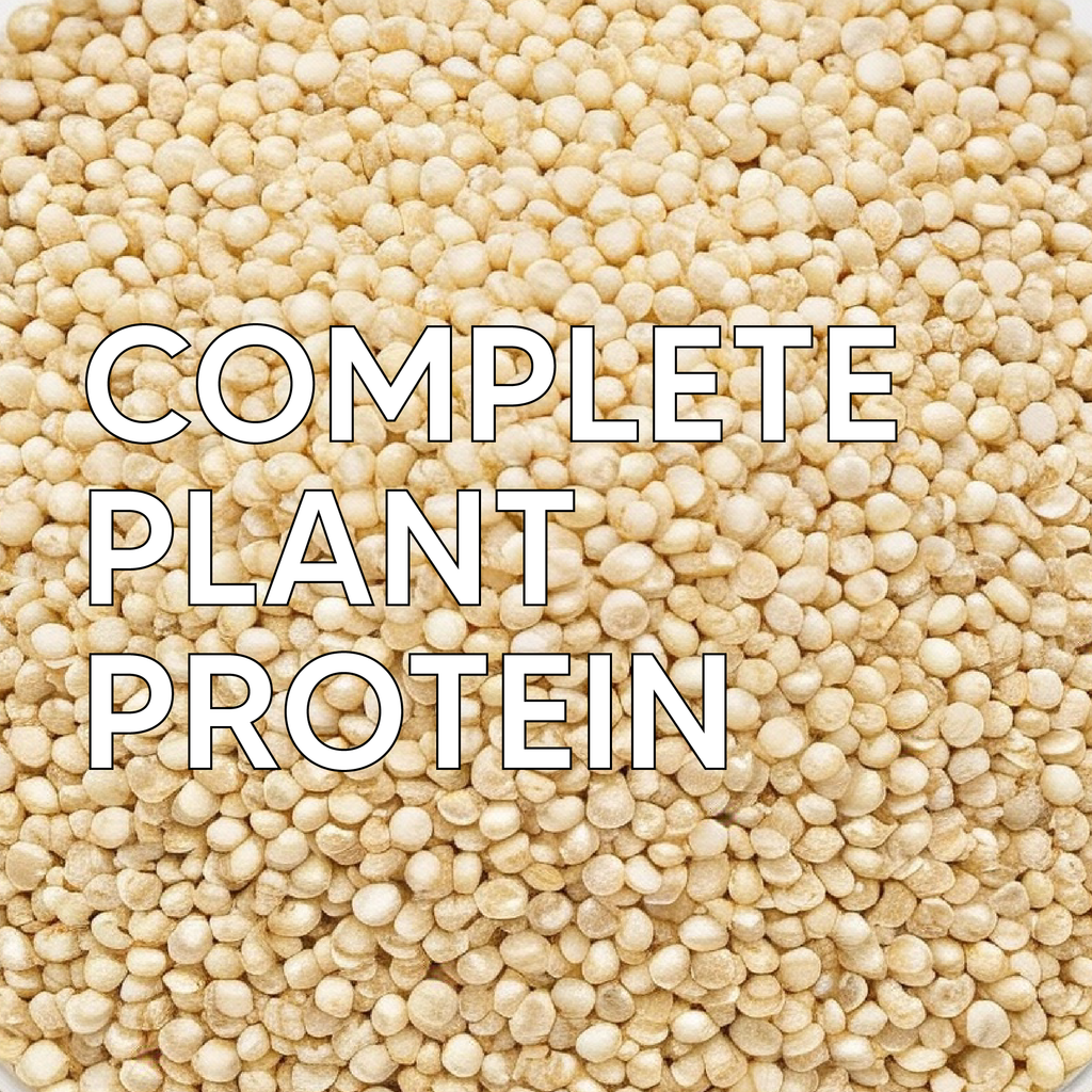 White Quinoa