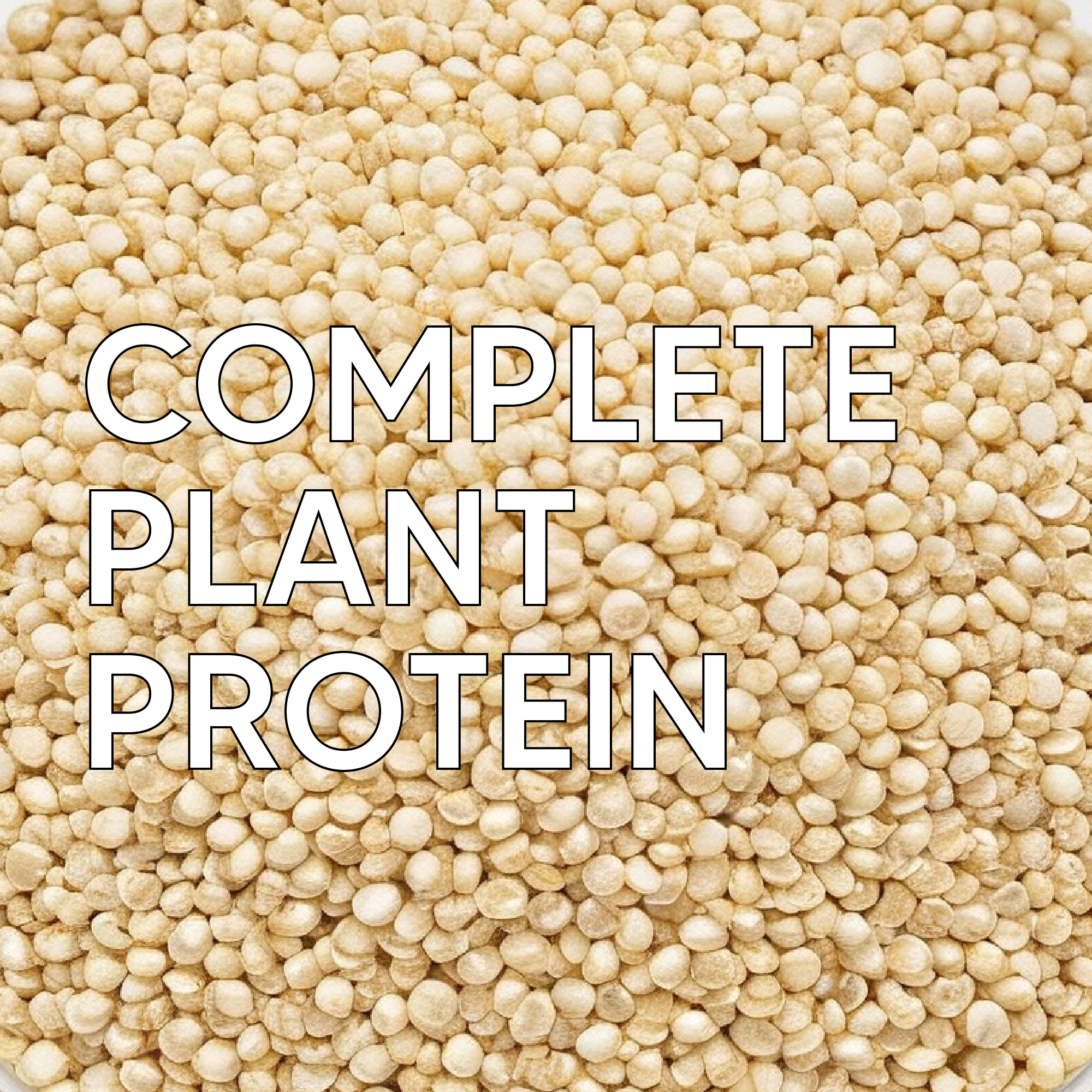 White Quinoa